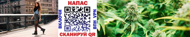 Наркота Лесосибирск Бошки Шишки LSD-25 Гашиш