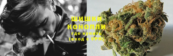 шишки Балабаново